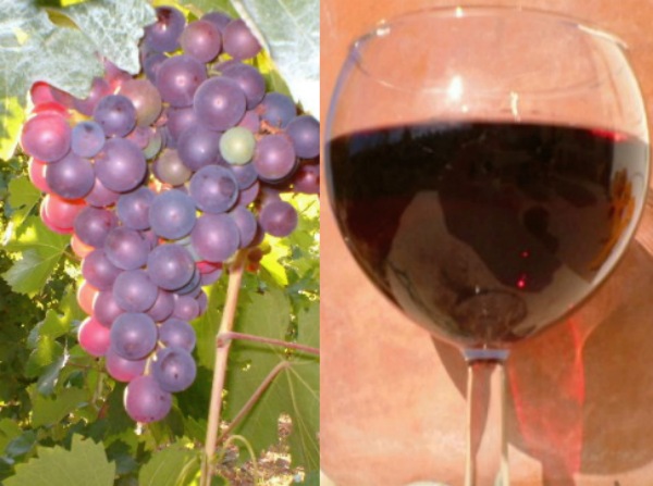 Liatiko grapes and wine