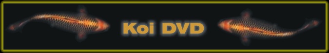 Nishikigoi Varieties Koi DVD banner