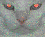 Peaches Eyes animated gif 
